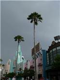 Palmieri pe Hollywood Blvd la MGM Studios