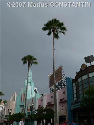 Palmieri pe Hollywood Blvd la MGM Studios