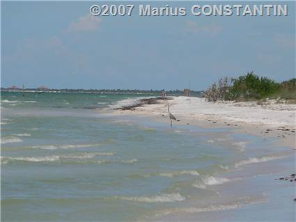 Clearwater beach