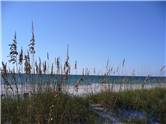 Sea oats pe plaja