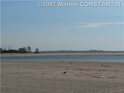 Fort de Soto - North beach