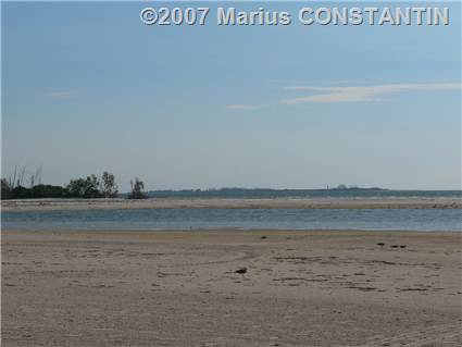 Fort de Soto - North beach