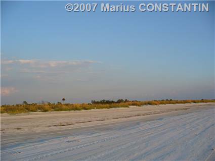 Plaja la Fort de Soto - North Beach