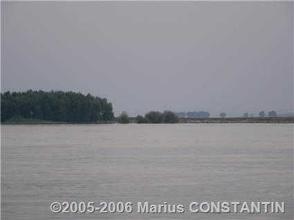 Padurea de peste Dunare