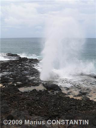 Spouting Horn