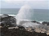 Spouting Horn