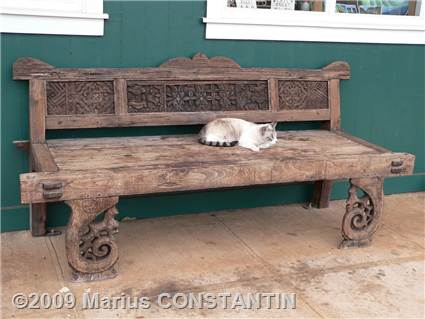 Cat sleeping on the bench at Hanapepe