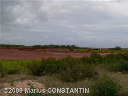 Salt ponds at Hanapepe