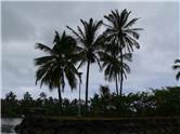 Wailua River Marina