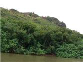 Wailua River