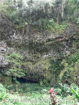 Fern Grotto