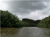 Wailua River