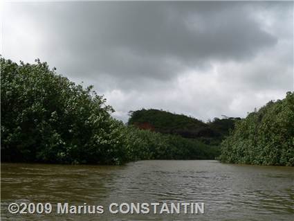 Wailua River