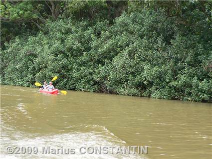 Kayak on Wailua River