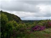 Scenic overlook at Opaeka'a Falls