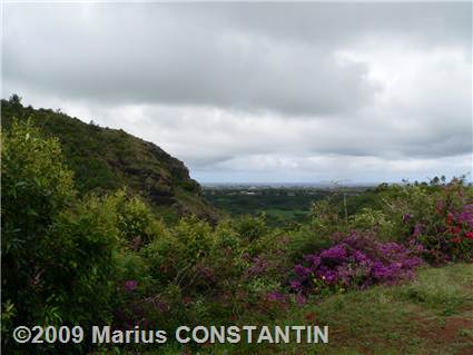 Scenic overlook at Opaeka'a Falls