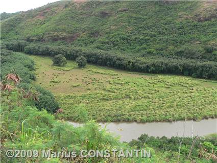 Wailua River