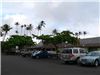 Coconut Marketplace