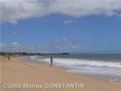 Kekaha Beach Park