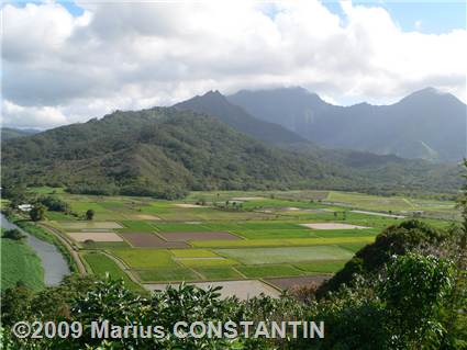 Hanalei Valley Lookout