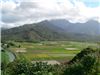 Hanalei Valley Lookout