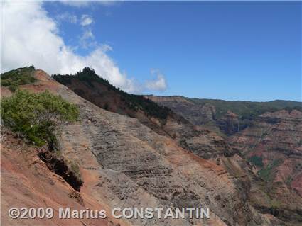 Waimea Canyon