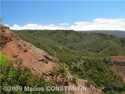 Waimea Canyon