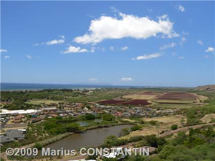 Scenic view at Waimea