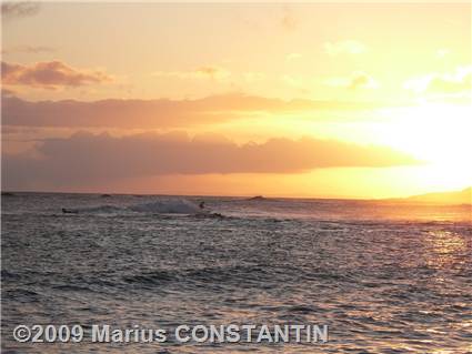 Surfer in the sunset