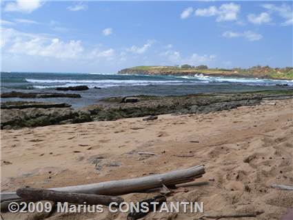 Maha'ulepu Beach