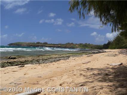 Maha'ulepu Beach