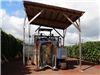 Machine that harvests coffee