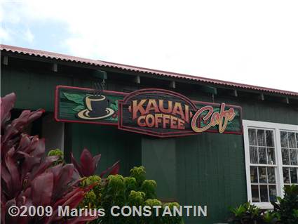 Kauai Coffee plantation