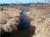 Canale in stufaris