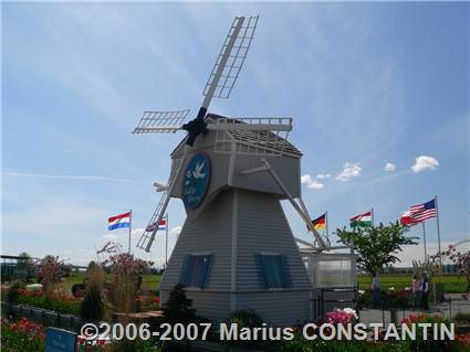 Moara de vant la Tulip Town