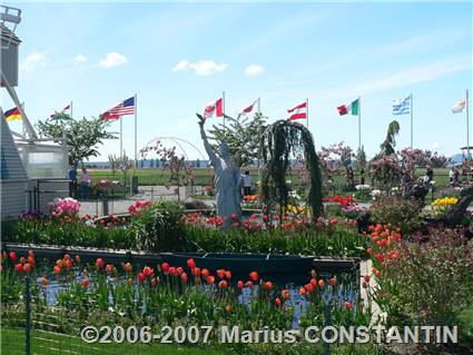 Tulip Town