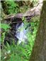 Cascada in Rain Forest