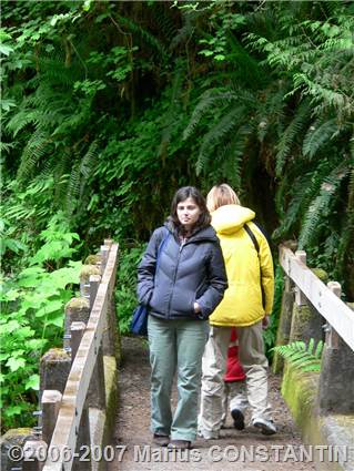 Adelina in Rain Forest