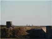 Fort Casey