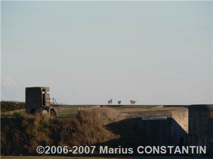 Fort Casey