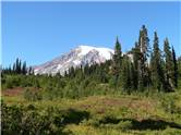 Mount Rainier la Paradise