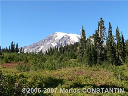 Mount Rainier la Paradise