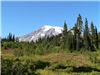 Mount Rainier la Paradise