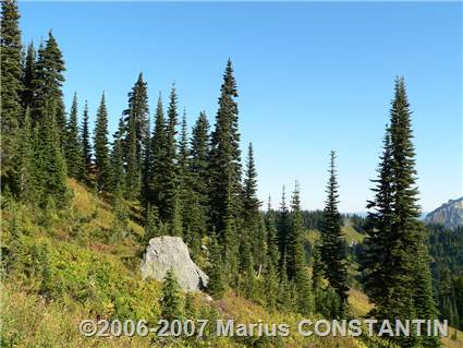 Alta Vista Trail