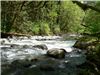 Urcand spre Wallace Falls