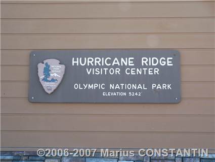 Bine ati venit la Hurricane Ridge