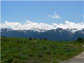 Hurricane Ridge