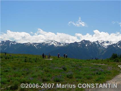 Hurricane Ridge