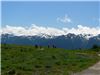 Hurricane Ridge