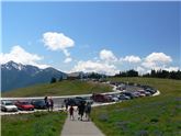 Parcarea de la Hurricane Ridge